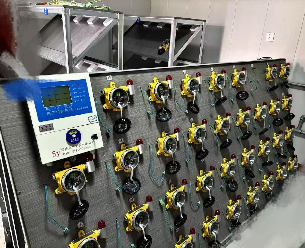 探測器長期穩(wěn)定性試驗區(qū)